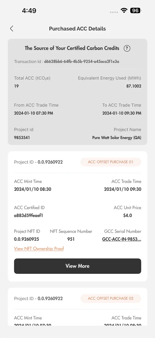 IntelliGrid mobile app, credit purchase detail screen.